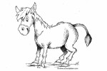 O Burro de Carga - História Infantil