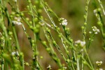 A Arte de Cultivar Virtudes