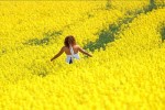 Como Vivem as Flores