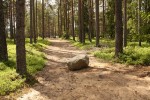 A Pedra no Caminho - História Infantil