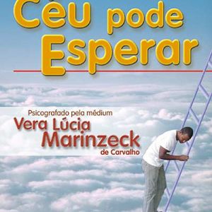 Capa de Céu Pode Esperar: Romance, O