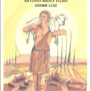 Capa de Decisão