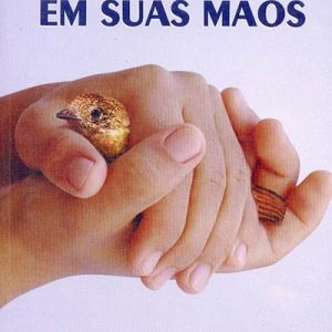 Capa de Destino em Suas Mãos, O