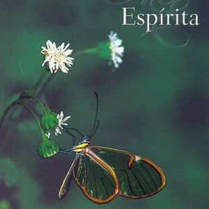 Capa de Momento Espírita - vol. 4