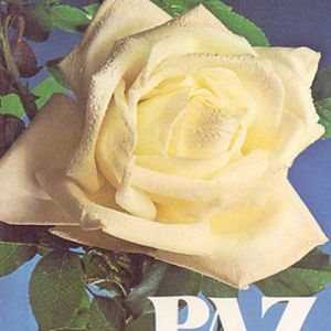 Capa de Paz