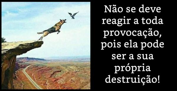 Não se deve reagir a toda provocação, pois ela pode ser a sua própria destruição!